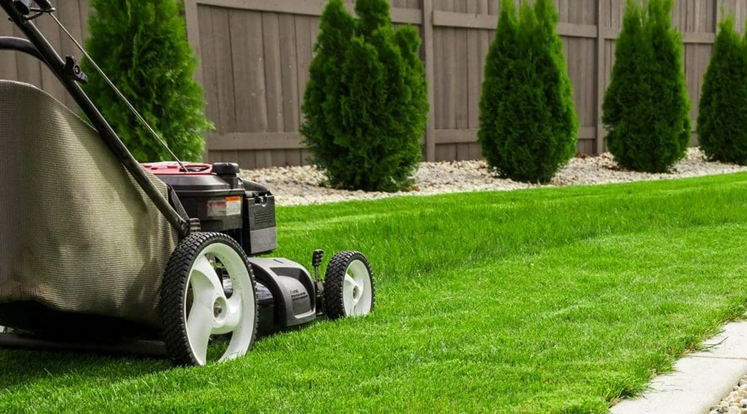 A lawn mower is sitting in the grass.