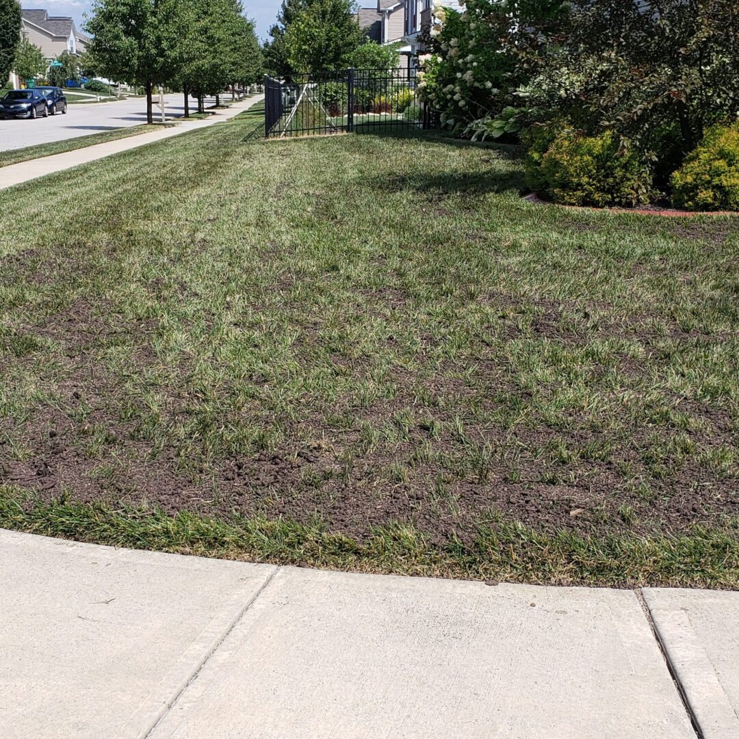 A lawn that has been cut down and is ready for the ground to be planted.