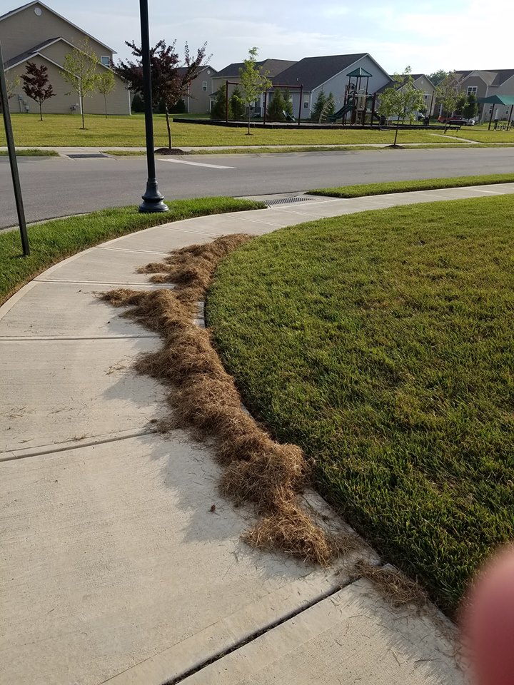 A sidewalk with grass growing on it and dirt around the edge.