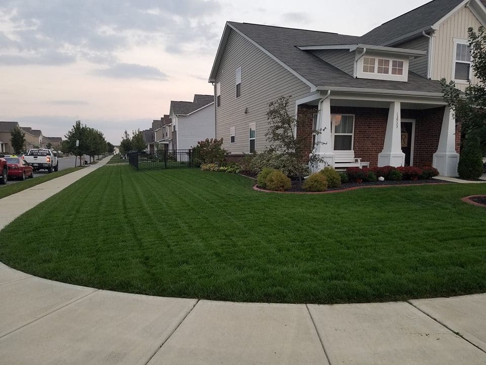 A house with grass on the front lawn